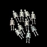 PACK ESQUELETOS DECORATIVOS